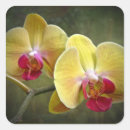 Search for yellow orchid stickers Tropical