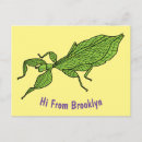 Search for leaf insect postcards Bug