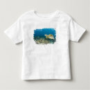 Search for green turtle tshirts Reptile
