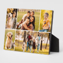 Search for simple plaques Photography