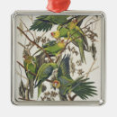 Search for parakeet christmas tree decorations Illustration