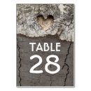 Search for birch bark crafts party Table number