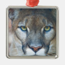 Search for mountain lion christmas tree decorations Zoo