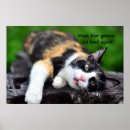 Search for funny animal posters Feline