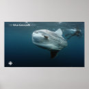 Search for documentary posters Television