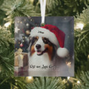 Search for aussie christmas tree decorations Funny