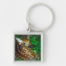 Search for cervus key rings Animal