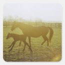Search for running horses stickers Pictures of horses