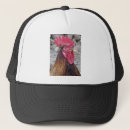 Search for beak hats Feather