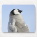 Search for sea side mouse mats Outdoors