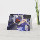 Search for ladybirds cards Nature