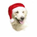 Search for christmas photo statuettes pet