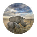 Search for rhino gifts Cute baby animal