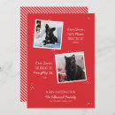 Search for dog cat christmas cards Naughty list
