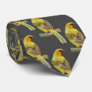 Search for oriole ties Wildlife