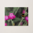 Search for bee photography Floral