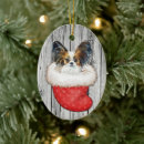Search for papillon christmas tree decorations Puppy