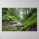 Search for oregon posters Forest