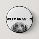 Search for weimaraner badges Dog