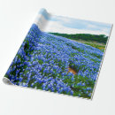 Search for texas bluebonnets wrapping paper Pretty