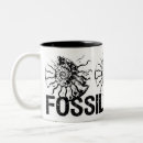 Search for fossils rock Ammonites