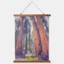 Search for forest tapestries California