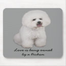 Search for bichons mouse mats Puppies