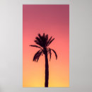 Search for desert colors posters Orange