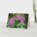 Search for rhododendrons cards Photography