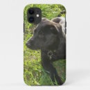 Search for german shepherd puppy iphone cases Alsatian