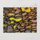 Search for dinosaur fossil postcards Gemstone