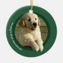 Search for golden retriever christmas decor Puppy