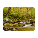 Search for appalachia magnets Forest