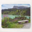 Search for austrian mouse mats Alps