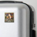 Search for bearer magnets Aquarius