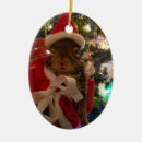 Search for multi coloured christmas tree decorations Animal