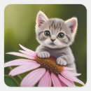 Search for grey cats stickers Flowers