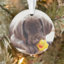 Search for chocolate lab christmas tree decorations Cute