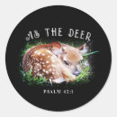 Search for deer fawn stickers Cute