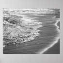 Search for sea life posters Surf