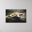Search for young animal canvas prints Reptile