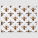 Search for honey bee tissue paper Black