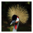 Search for crane bird posters Gold