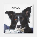 Search for black border magnets Dog