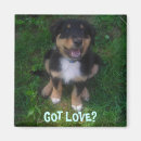 Search for mixed breed magnets Mutt