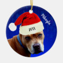 Search for red bull christmas tree decorations Dog