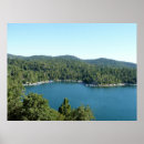 Search for arrowhead posters Nature