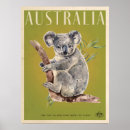 Search for koala gifts Australia