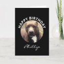 Search for pit cards Pet