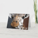 Search for funny giraffe cards Appreciation